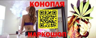 соль ск Новозыбков