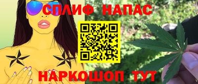 соль ск Новозыбков