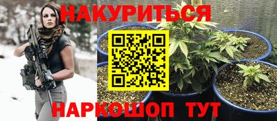 соль ск Новозыбков
